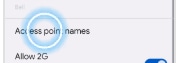 Access Point Names
