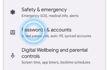Passwords & Accounts