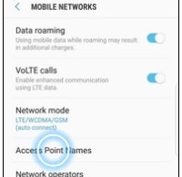 Access Point Names