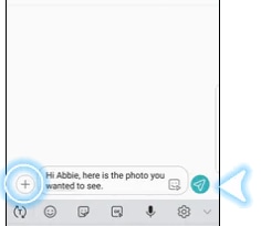 Send and picture icons