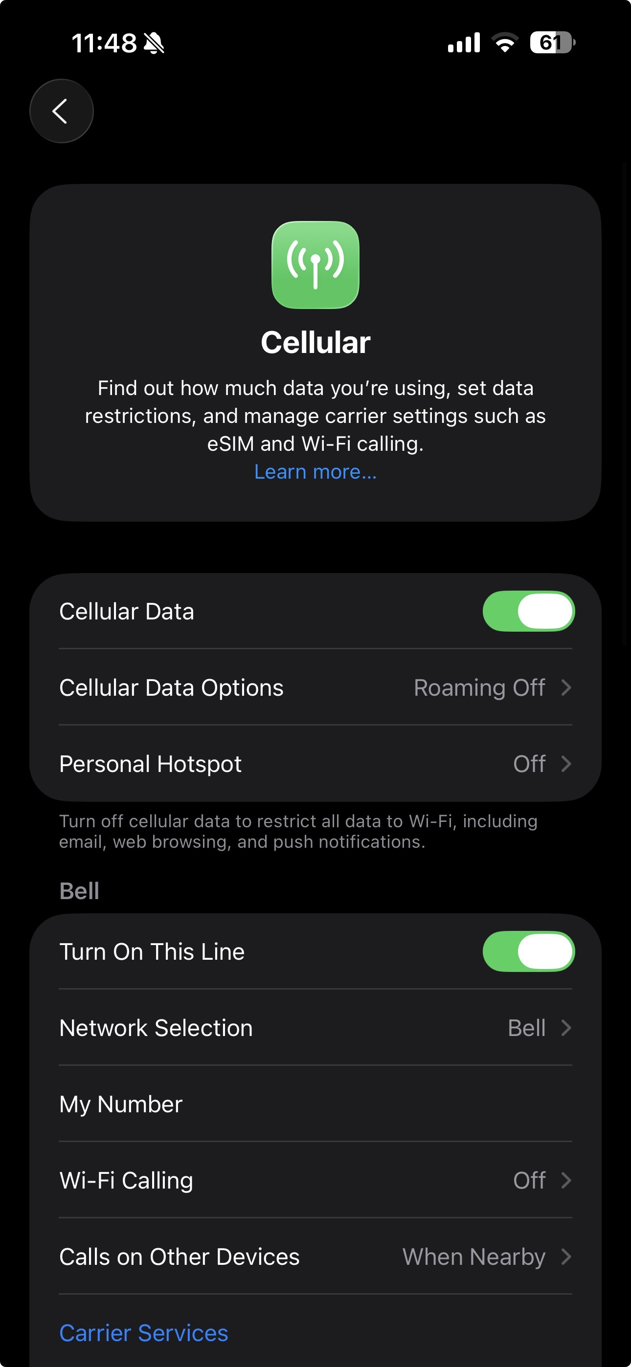 Touch Cellular Data Options.