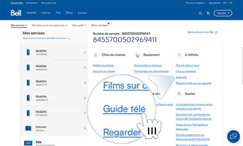 access_guide_4