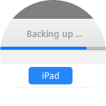 Wait while the iPad is backed up.