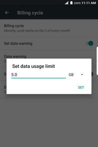 Enter the desired data usage limit.
