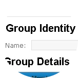 Enter the name of the group in the Name field on the Group Identity page.