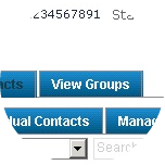 Select the View Groups tab to view all of the groups assigned to the selected contact.