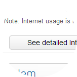 Click the See detailed Internet usage button for more information or to see specific date ranges.