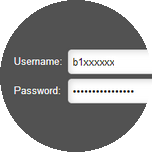 Enter your Bell Internet user ID (b1xxxxxx) and password.