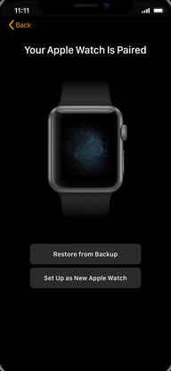 Touch Set Up as New Apple Watch.