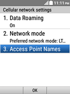 Select Access Point Names.