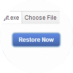 Click Restore Now.
