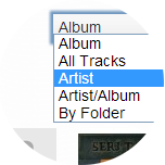 Click the My Library drop-down menu and select Artist.