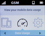 Using the buttons below the screen, scroll to and select Data Usage.