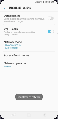 The phone is now connected to the mobile network.