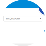 Click the drop-down menu to view the available network modes.