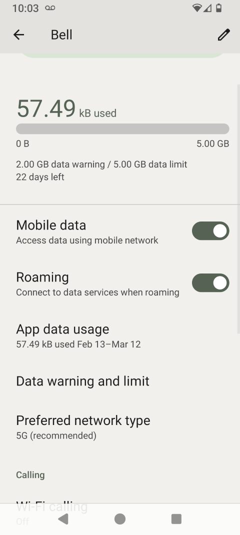 Data roaming is now on.Touch Roaming again to turn it off.