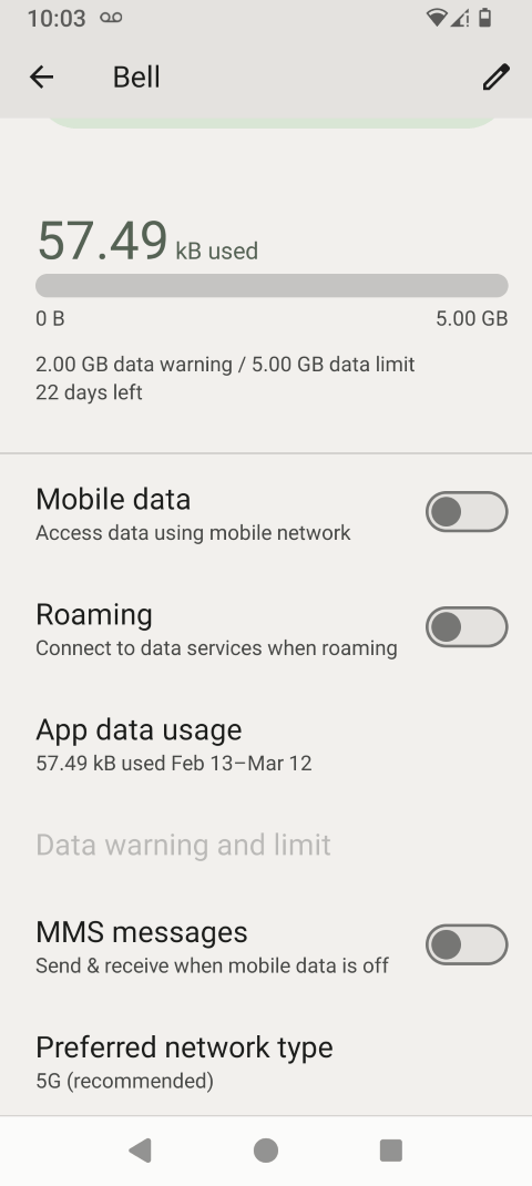 Touch Roaming to change the setting (e.g., from off to on).