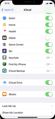 How to set up Find My iPhone on my Apple iPhone X