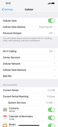 Touch Cellular Data Network.