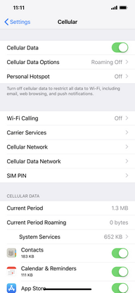 To turn off data services completely, touch the Cellular Data slider.